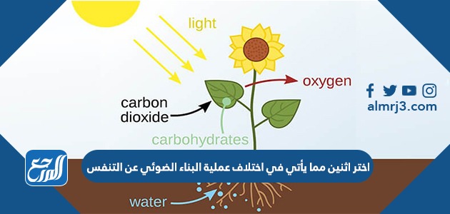 اختر اثنين مما يأتي في اختلاف عملية البناء الضوئي عن التنفس