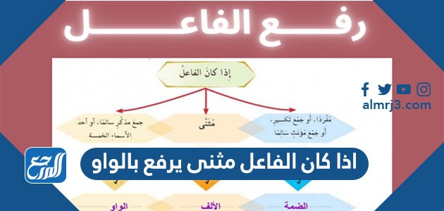 اذا كان الفاعل مثنى يرفع بالواو