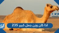 اذا كان وزن جمل كبير 235