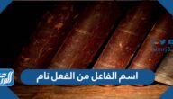 اسم الفاعل من الفعل نام