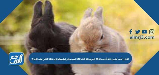 اشترى أحمد أرنبين كتلة أحدهما 456 كجم وكتلة الآخر 512 كجم، فكم كيلوجراما تزيد كتلة الثاني على الأول