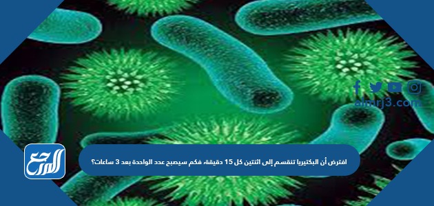 افترض أن البكتيريا تنقسم إلى اثنتين كل ١٥ دقيقة، فكم سيصبح عدد الواحدة بعد ٣ ساعات؟