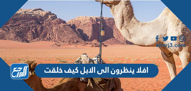 افلا ينظرون الى الابل كيف خلقت اعراب