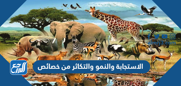 الاستجابة والنمو والتكاثر من خصائص