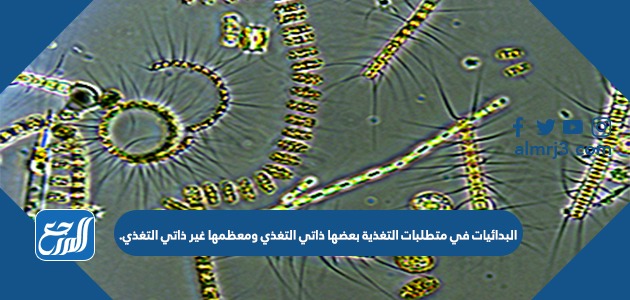 البدائيات في متطلبات التغذية بعضها ذاتي التغذي ومعظمها غير ذاتي التغذي.