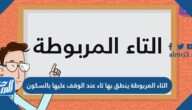 التاء المربوطة ينطق بها تاء عند الوقف عليها بالسكون