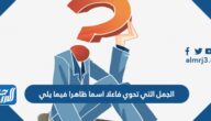 الفاعل ونائب الفاعل مرفوعان دائماً