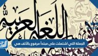 الجملة التي اشتملت على مبتدأ مرفوع بالألف هي