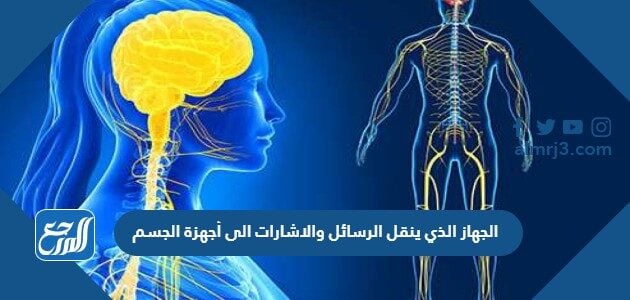 القوة الجسم اللازمة الاجهزة يوفر ؟ الاتية لتحريك اي اي الاجهزة