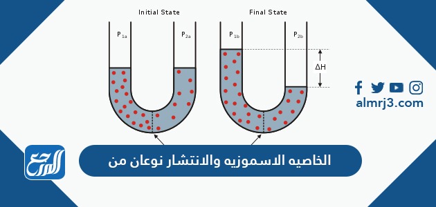 الخاصيه الاسموزيه والانتشار نوعان من