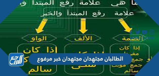 الطالبان مجتهدان مجتهدان خبر مرفوع
