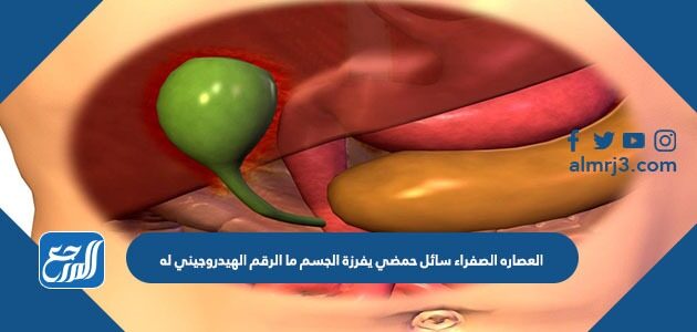 العصاره الصفراء سائل حمضي يفرزة الجسم ما الرقم الهيدروجيني له