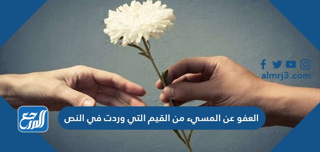 العفو عن المسيء من القيم التي وردت في النص