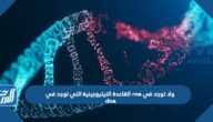 القاعدة النيتروجينية التي توجد في rna ولا توجد في dna