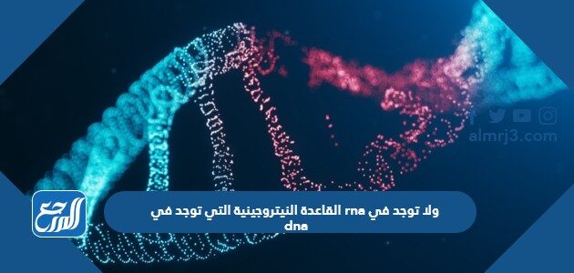 القاعدة النيتروجينية التي توجد في rna ولا توجد في dna