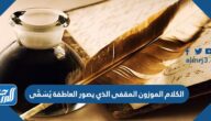 الكلام الموزون المقفى الذي يصور العاطفة يُسَمَّى