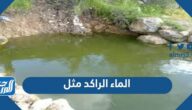 الماء الراكد مثل