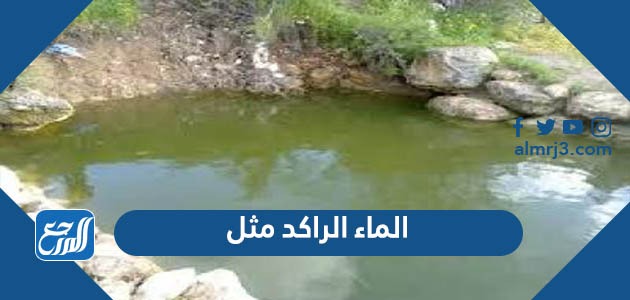 الماء الراكد مثل