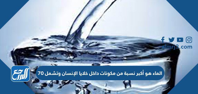 الماء هو أكبر نسبة من مكونات داخل خلايا الإنسان وتشمل 70