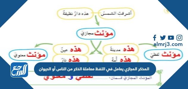 المذكر المجازي يعامل في اللفظ معاملة الذكر من الناس أو الحيوان