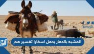 المشبه بالحمار يحمل أسفارا تفسير هم