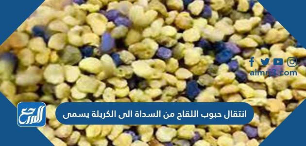 انتقال حبوب اللقاح من السداة الى الكربلة يسمى