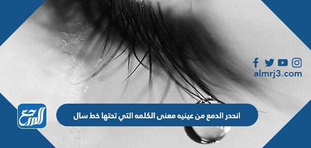 انحدر الدمع من عينيه معنى الكلمه التي تحتها خط سال