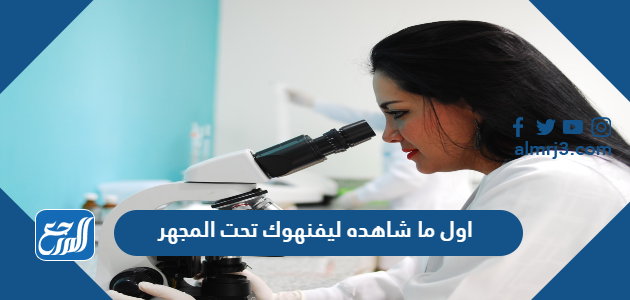 اول ما شاهده ليفنهوك تحت المجهر