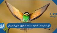 اي التكيفات التاليه تساعد الطيور على الطيران