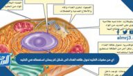 اي من عضيات الخليه تحول طاقه الغذاء الى شكل اخر