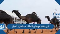 اين يقام مهرجان الملك عبدالعزيز للابل