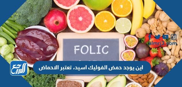 اين يوجد حمض الفوليك اسيد، تعتبر الاحماض