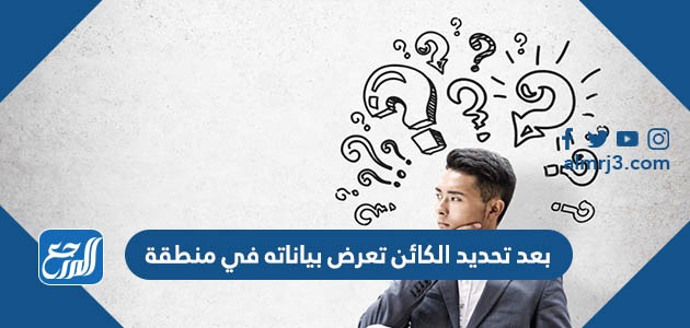 بعد تحديد الكائن تعرض بياناته في منطقة