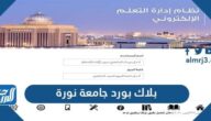 رابط بلاك بورد جامعة الاميرة نورة تسجيل الدخول blackboard pnu