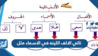 تاتي الالف اللينه في الاسماء مثل