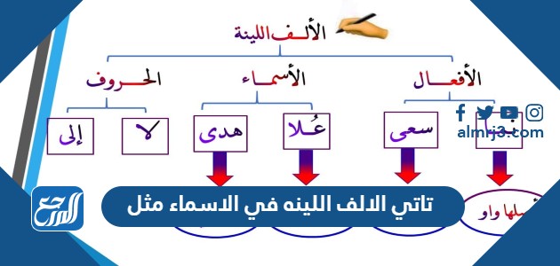 تاتي الالف اللينه في الاسماء مثل