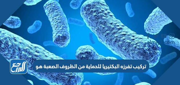 تركيب تفرزه البكتيريا للحماية من الظروف الصعبة هو
