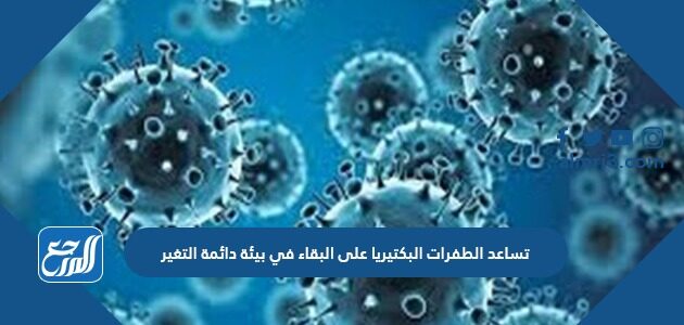تساعد الطفرات البكتيريا على البقاء في بيئة دائمة التغير