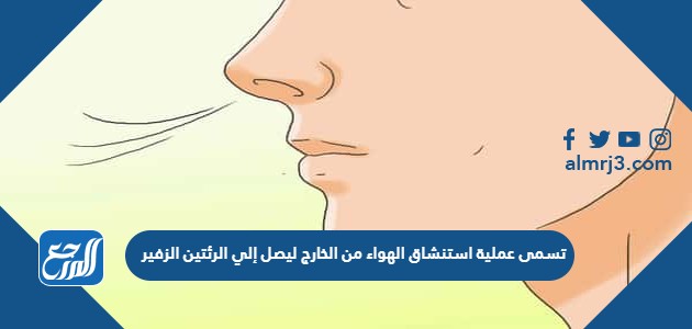 تسمى عملية استنشاق الهواء من الخارج ليصل إلي الرئتين الزفير