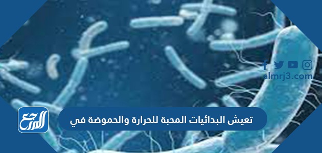 تعيش البدائيات المحبة للحرارة والحموضة في