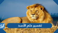 تفسير حلم الأسد في المنام للعزباء والمتزوجة والحامل