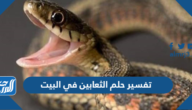 تفسير حلم الثعابين في البيت في المنام للعزباء والمتزوجة والحامل