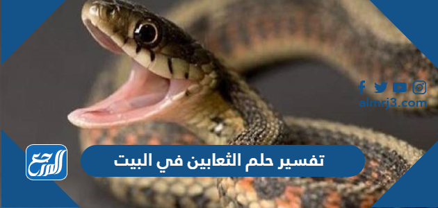 تفسير حلم الثعابين في البيت