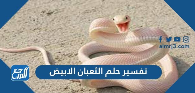 تفسير حلم الثعبان الابيض