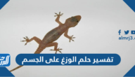 تفسير حلم الوزغ على الجسم في المنام للعبزباء والمتزوجة والحامل