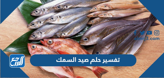 تفسير حلم صيد السمك