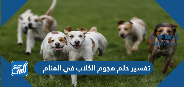 تفسير حلم هجوم الكلاب في المنام
