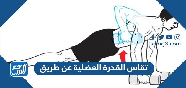 تقاس القدرة العضلية عن طريق