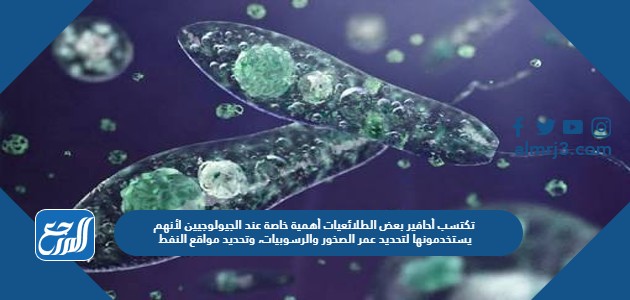 تكتسب أحافير بعض الطلائعيات أهمية خاصة عند الجيولوجيين لأنهم يستخدمونها لتحديد عمر الصخور والرسوبيات، وتحديد مواقع النفط