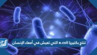 تنتج بكتيريا e.coli التي تعيش في أمعاء الإنسان